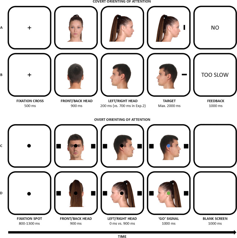 Uncovering everyday attention in the lab: front-viewed heads boost overt social orienting.