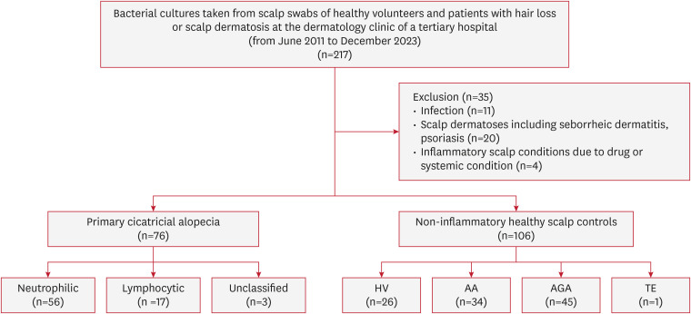 Scalp Bacterial Profile and Antibiotics Susceptibility Pattern in Patients With Primary Cicatricial Alopecia.