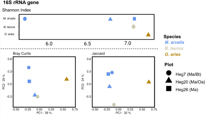 Microbial exchange at the wildlife-livestock interface: insights into microbial composition, antimicrobial resistance and virulence factor gene dynamics in grassland ecosystems.