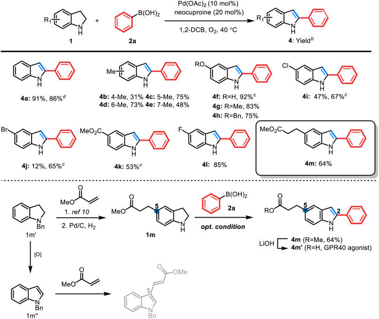 One-step synthesis of 2-arylindoles from indolines <i>via</i> Pd-catalyzed oxidative dehydrogenation and C2-selective arylation.