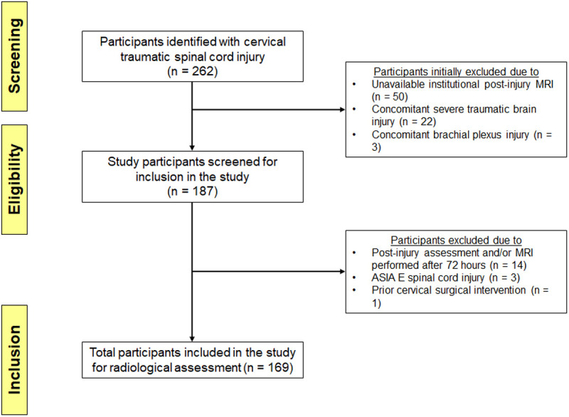 Spinal cord swelling and intradural compression predict neurological recovery after acute cervical traumatic spinal cord injury.