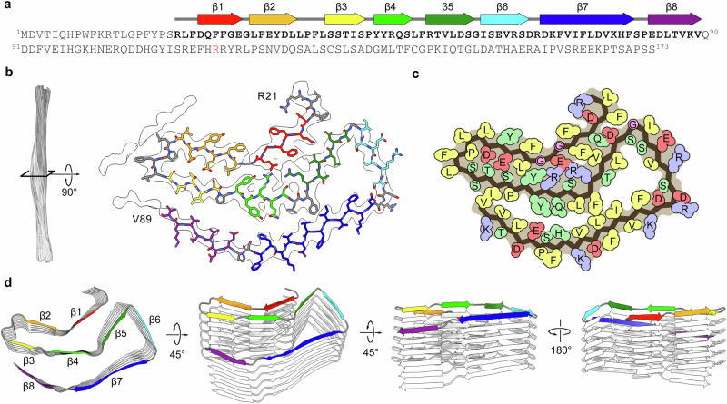 Cryo-EM structure of amyloid fibrils formed by full-length human αA-crystallin with pathogenic mutation R116C.