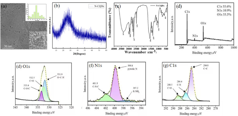 Synthesis and properties of carbon quantum dots as an antimicrobial agent and detection of ciprofloxacin.