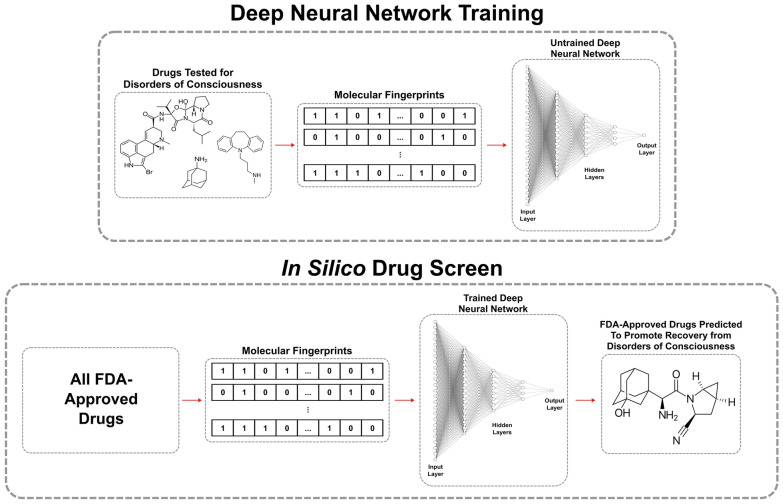 The Dipeptidyl Peptidase-4 Inhibitor Saxagliptin as a Candidate Treatment for Disorders of Consciousness: A Deep Learning and Retrospective Clinical Analysis.