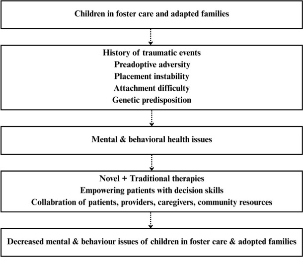 Navigating the complex behavioral landscape of children in foster care and adopted families.
