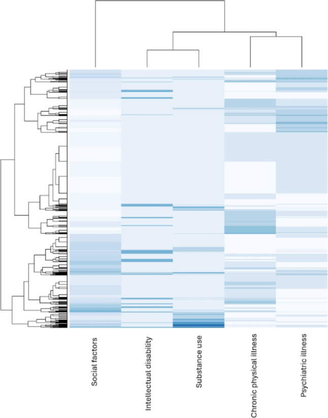 Integrated care for multi-domain vulnerability during pregnancy: a retrospective cohort study