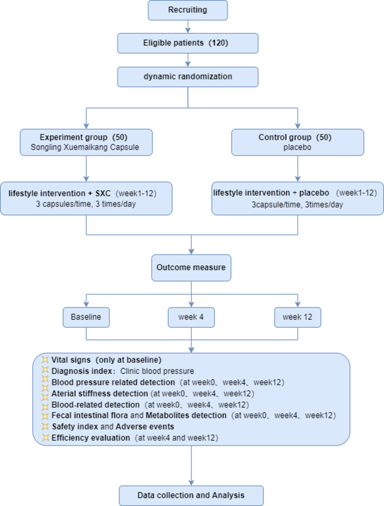 The effects of Songling Xuemaikang capsule on vascular remodeling of stage 1 hypertension: a multicenter, randomized placebo-controlled trial protocol.
