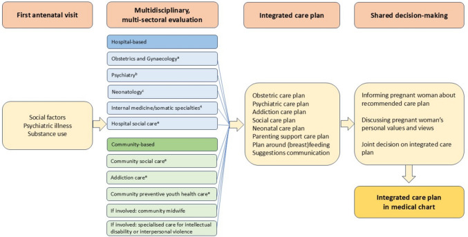 Integrated care for multi-domain vulnerability during pregnancy: a retrospective cohort study