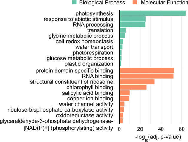The compendium of Arabidopsis thaliana GLYCINE-RICH RNA-BINDING PROTEIN 8 in vivo targets determined by iCLIP.
