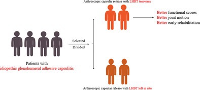The Long Head of Biceps Tendon Tenotomy in Idiopathic Glenohumeral Adhesive Capsulitis Surgery Improves Early Rehabilitation Outcomes.