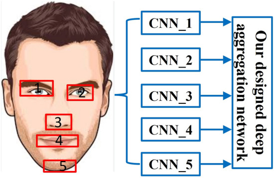 Generating human facial animation by aggregation deep network and low-rank active learning with table tennis applications.