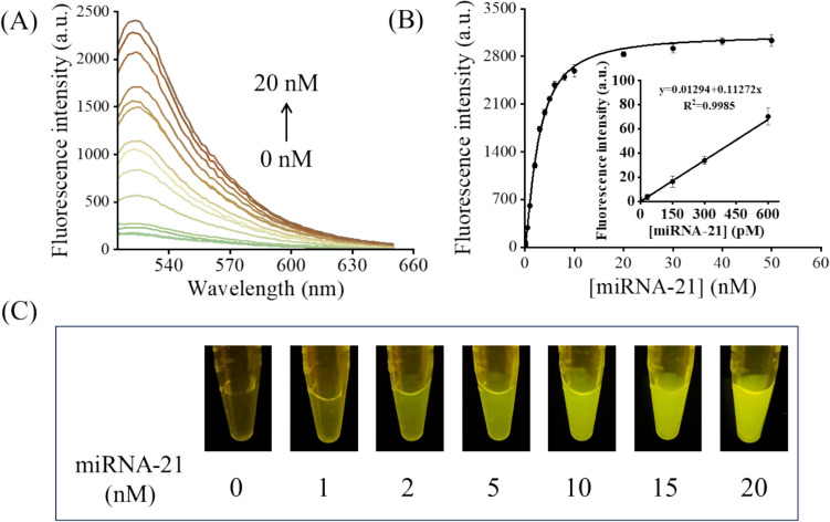 A dexterous fluorescence sensor for diversified-biomarker detection using cyclic EDC–CHA (EDCHA) system