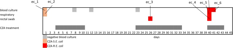 <i>In vivo</i> evolution of ceftazidime-avibactam resistance in <i>bla</i> <sub>OXA-244</sub>-positive <i>E. coli</i> potentially linked to PBP3 insertion and mutations in <i>acrB</i> and PBP2.
