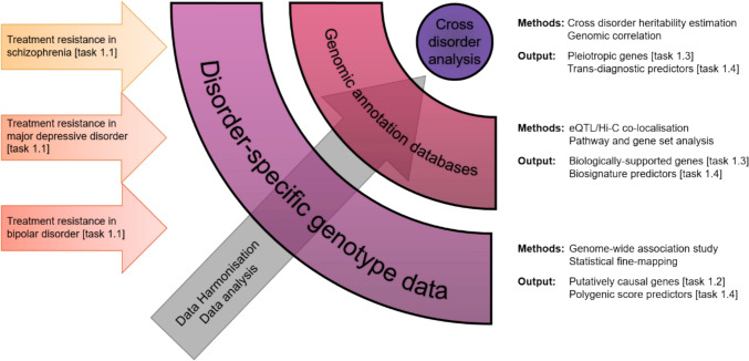 A stratified treatment algorithm in psychiatry: a program on stratified pharmacogenomics in severe mental illness (Psych-STRATA): concept, objectives and methodologies of a multidisciplinary project funded by Horizon Europe.