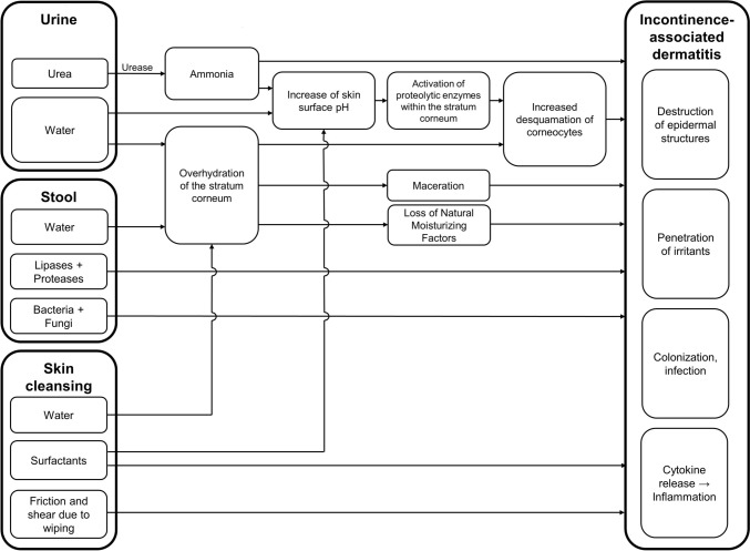 Incontinence-Associated Dermatitis in Older Adults: A Critical Review of Risk Factors, Prevention and Management.