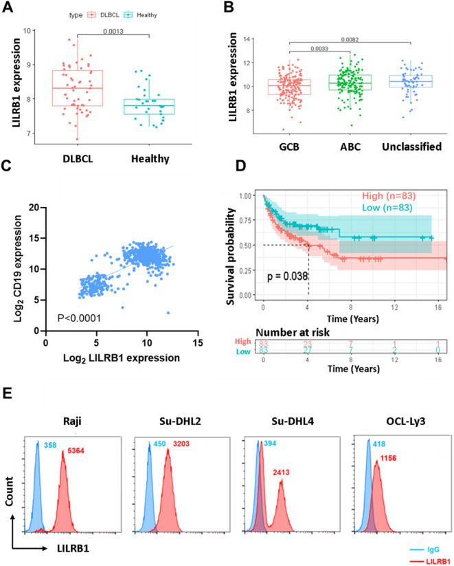 LILRB1 enhances the progression of diffuse large B-cell lymphoma through the CREB-SORBS3 pathway.