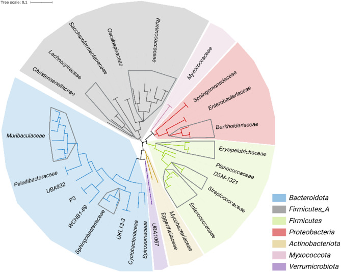 Microbial exchange at the wildlife-livestock interface: insights into microbial composition, antimicrobial resistance and virulence factor gene dynamics in grassland ecosystems.