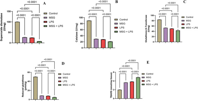 Monosodium glutamate exacerbated the lipopolysaccharide-induced reproductive toxicity of male Wistar rats.