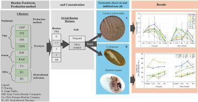 Feedstock and pyrolysis conditions of biochars: influence on soil phytotoxicity and water ecotoxicity