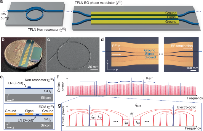 Hybrid Kerr-electro-optic frequency combs on thin-film lithium niobate