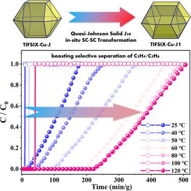 Pillar-cage fluorinated hybrid porous frameworks featuring quasi-Johnson solid J28