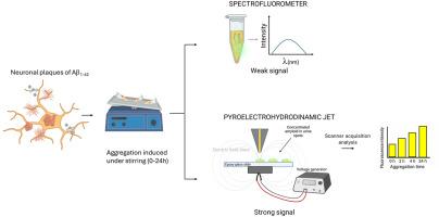 Highly sensitive detection of different aggregation stages of Aβ1-42 -amyloid peptide in urine-like samples by auto-fluorescence