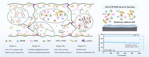 Ester-ether synergistic interactions regulating the solvation structure of gel polymer electrolytes enable stable sodium metal batteries