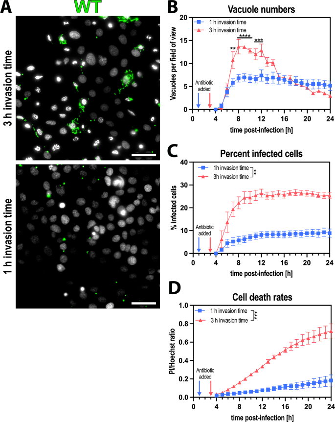 Cross-membrane cooperation among bacteria can facilitate intracellular pathogenesis