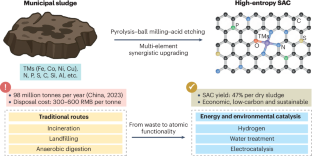 Turning sewage sludge into valuable catalysts through atomic-level circularity