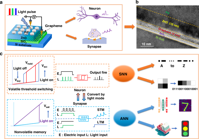 A facile photonics reconfigurable memristor with dynamically allocated neurons and synapses functions