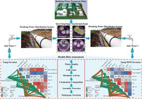 Aquatic fungal intrusion increases microbial risk in premise plumbing system: Novel insights into water quality, bacterial community and function of pathogens