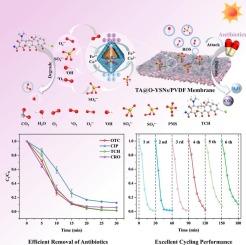 Highly efficient and stable Photo-Fenton-Like catalytic membrane based on Yolk-Shell MOF-on-MOF Nanostructures for Broad-Spectrum antibiotic removal
