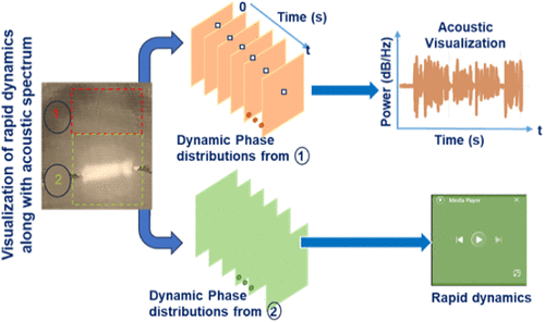 Optical Visualization of Rapid Dynamics along with an Acoustic Spectrum