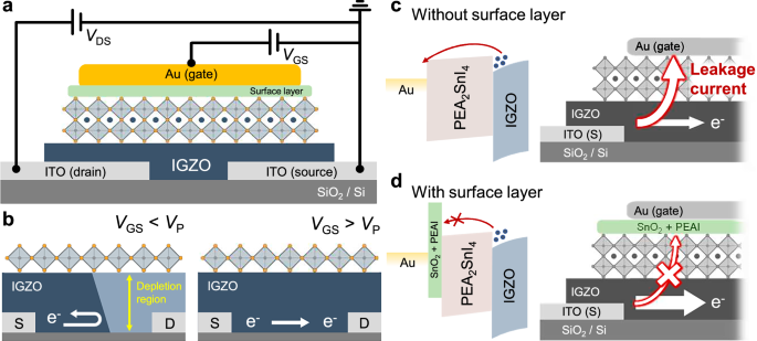 Revisiting the role of oxidation in stable and high-performance lead-free perovskite-IGZO junction field-effect transistors