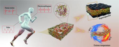 Hoffmeister effect assisted the double-network cellulose hydrogel electrolyte with extreme environmental stability and enhanced conductivity for wearable devices and strain sensors