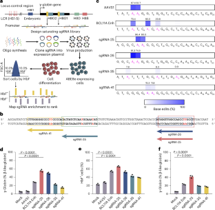 In vivo genome editing of human haematopoietic stem cells for treatment of blood disorders using mRNA delivery