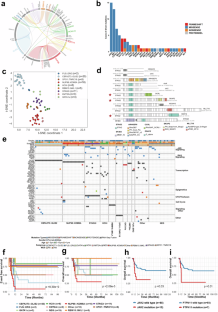 Clinically associated genomic landscape of pediatric non-Down Syndrome acute megakaryoblastic leukemia in Chinese patients