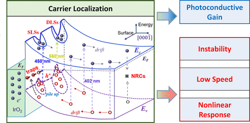 Janus-Faced Carrier Localization with Defect States: A Case Study in InGaN-Based Photodetectors