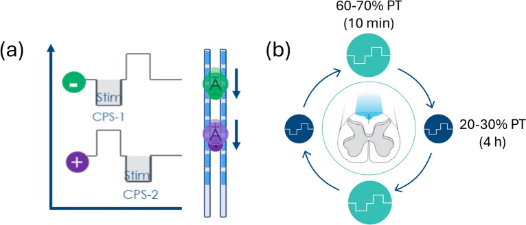 Automated Neural Dosing for Fast-Acting Subperception Therapy: Sustained Spinal Cord Stimulation Outcomes from a Multicenter Study.