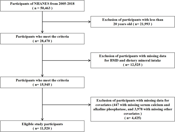 The association between dietary mineral intake and bone mineral density: a cross-sectional study.