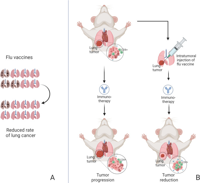 Vaccination of people with solid tumors and diabetes: existing evidence and recommendations. A position statement from a multidisciplinary panel of scientific societies.