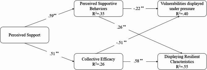 Exploring the interplay of coach behaviours, team resilience, support perception, and collective efficacy in young team athletes.