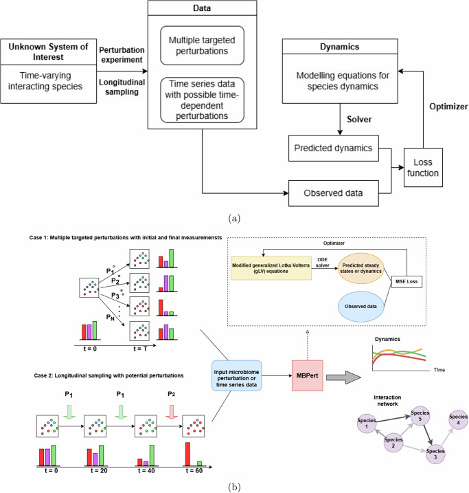A computational framework for inferring species dynamics and interactions with applications in microbiota ecology.