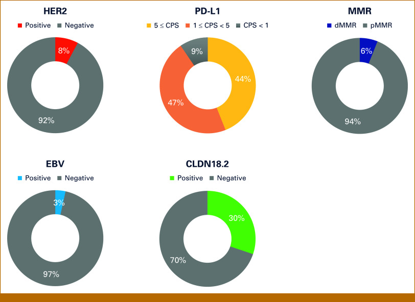 Prognostic Indicators of Preoperative Fluorouracil, Leucovorin, Oxaliplatin, and Docetaxel Efficacy in Locally Advanced Gastroesophageal and Gastric Cancer: Integrating Biomarker Analysis and Clinicopathological Factors.