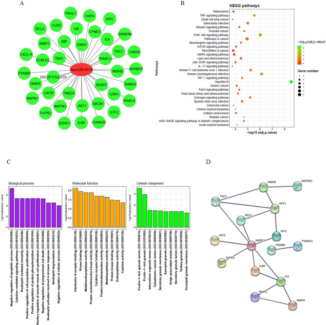 Investigating the potential role of miR-451a as a tumor suppressor in immunogenic cell death induction and dendritic cell maturation in colorectal cancer cell lines.