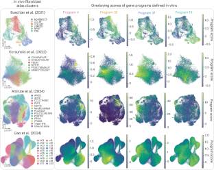Recreating fibroblast diversity in vitro by activating transcription factors