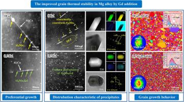 The inhibition mechanism of abnormal grain growth in dilute Mg–Al–Ca–Mn alloy through trace Gd addition