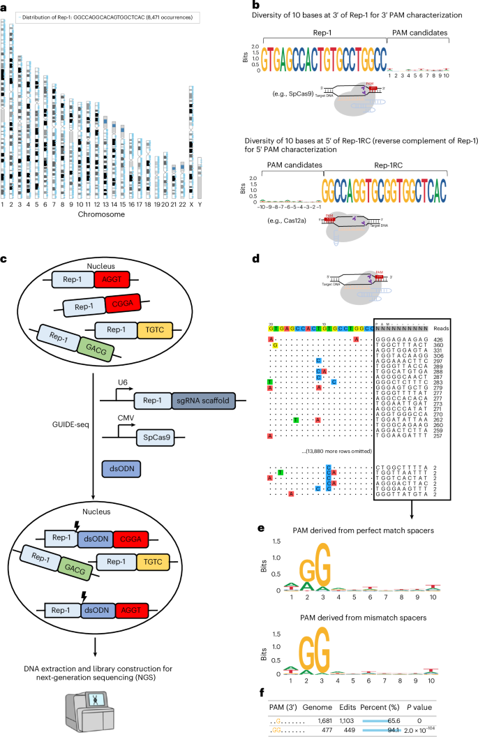 GenomePAM directs PAM characterization and engineering of CRISPR-Cas nucleases using mammalian genome repeats