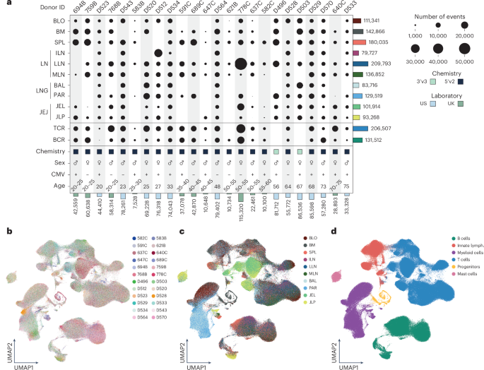 Multimodal profiling reveals tissue-directed signatures of human immune cells altered with age