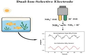 A dual-ion-selective electrode system for real-time monitoring of dissolved ammonia